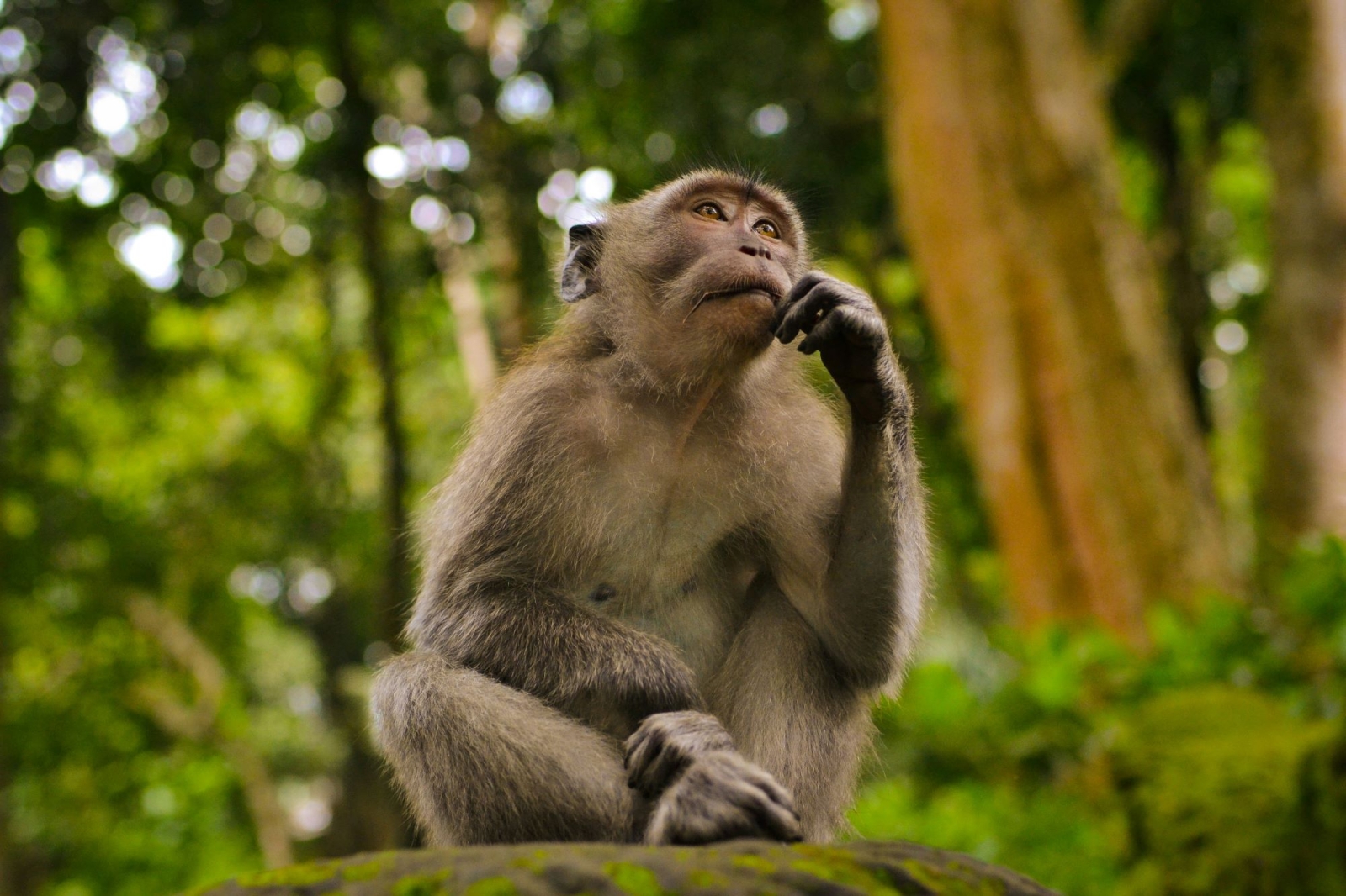 Esseri umani e natura, perché è importante la biodiversità
