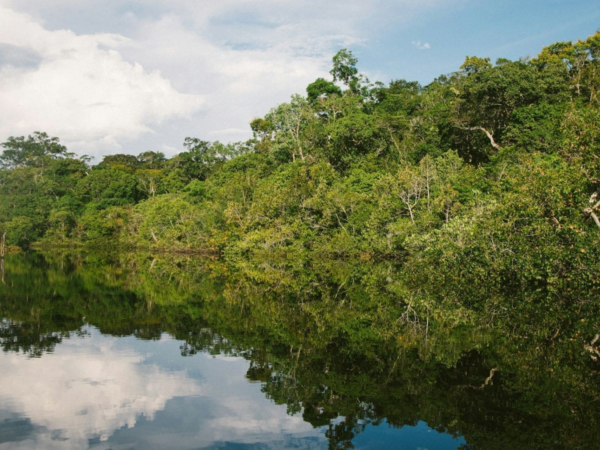 Water at the heart of COP30: what to expect after the Baku turning point