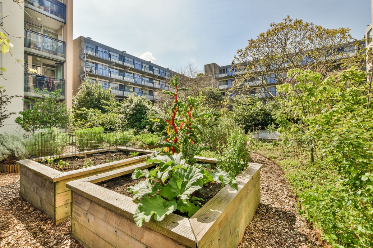 Urban agriculture as climate infrastructure