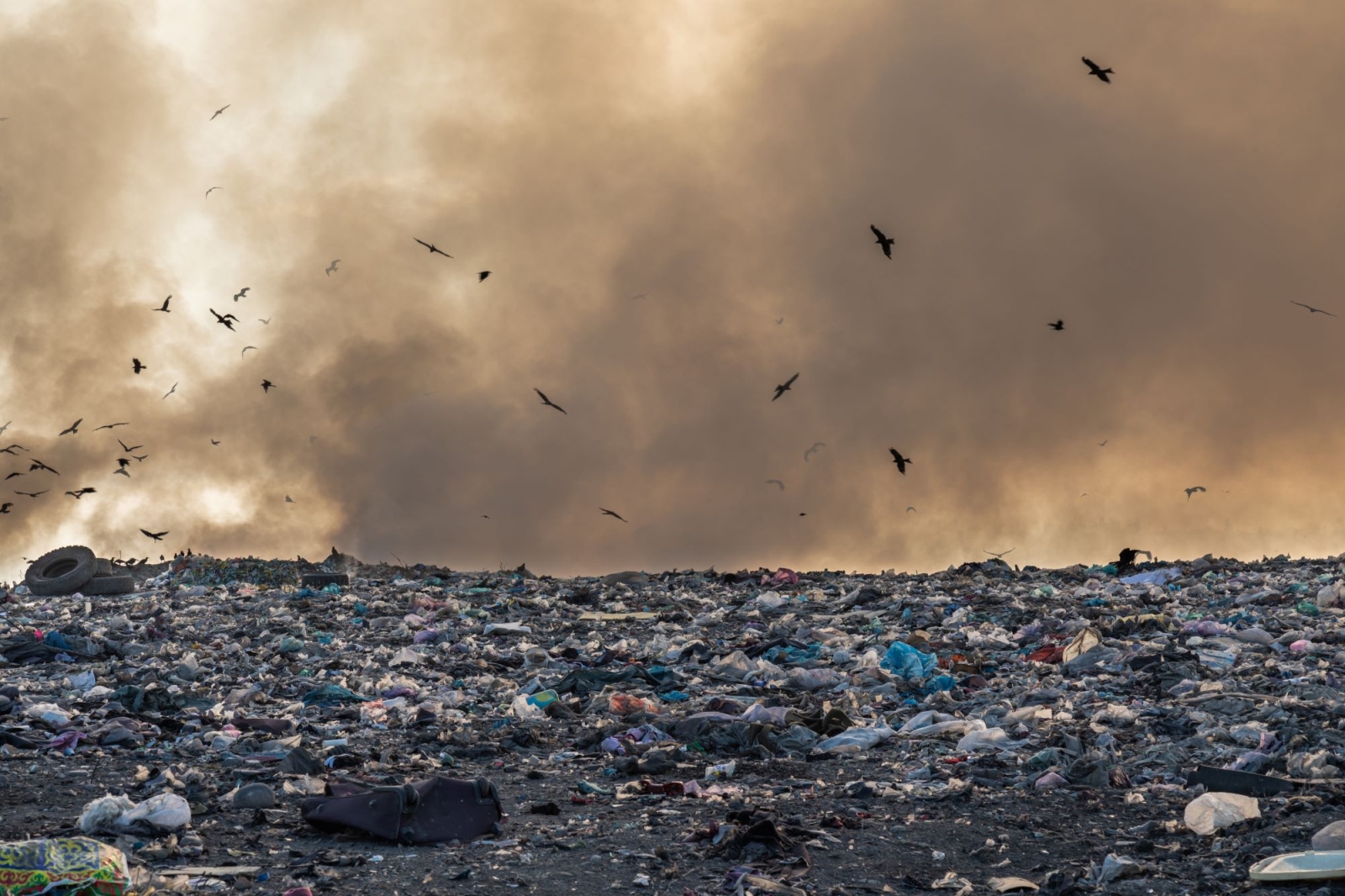 India, brucia la discarica di Delhi alta 65 metri