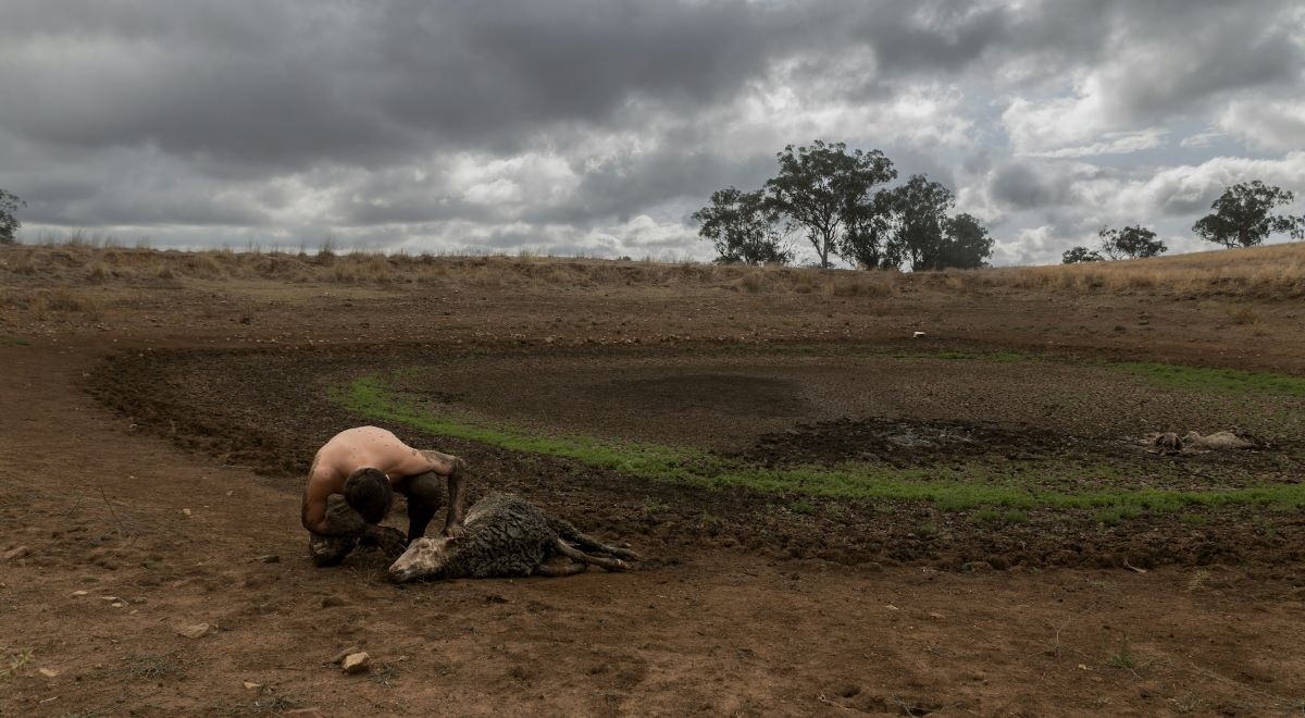 The effects of Human error on the health of the planet
