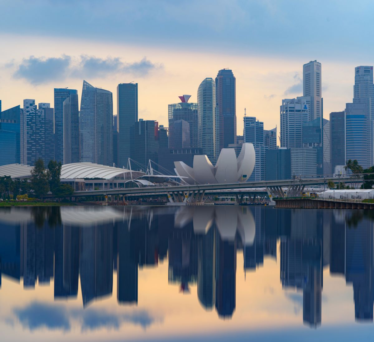 Shaping Article 6 from a National Perspective: Singapore’s Carbon Tax