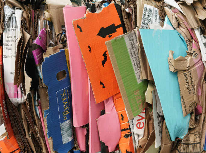 DOSSIER: La carta protagonista della bioeconomia sostenibile e circolare