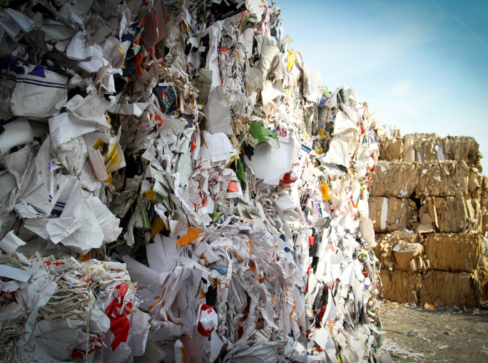 La carta è economia circolare. Intervista a Cinzia Vezzosi