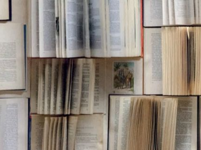 La carta è bioeconomia. Intervista a Ignazio Capuano