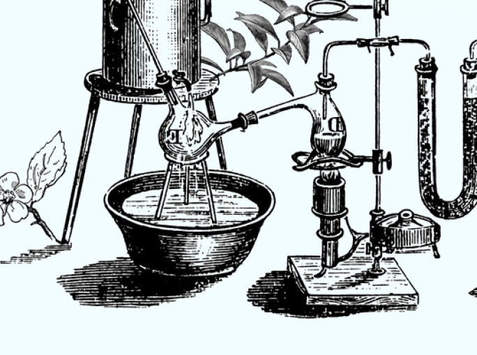 Green and Circular Jobs