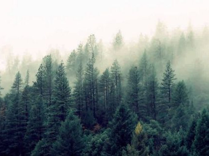 La carta è sostenibilità. Intervista a Lauri Hetemäki