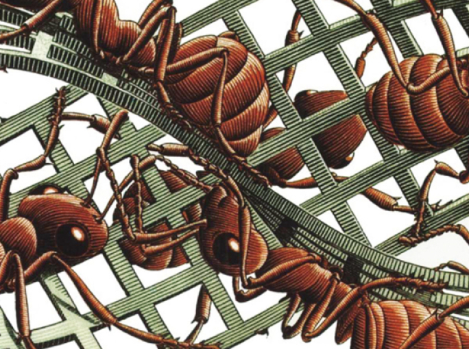 The Mï¿½bius Strip