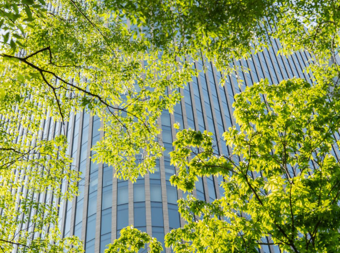 Per ogni dollaro investito per proteggere la natura,  oltre trenta la distruggono 