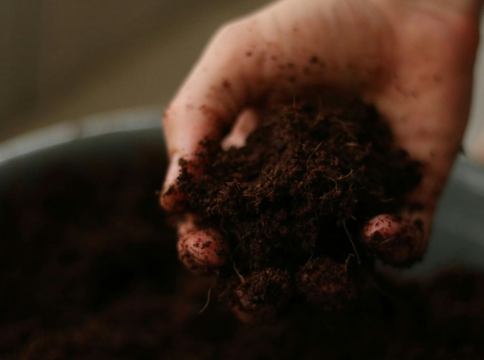 World Soil Day, the “indissoluble” link with water