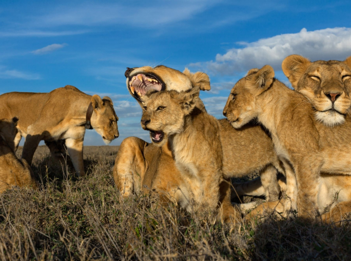 Il National Geographic Fest 2023 torna a Milano con il Capitale Umano: date e programma