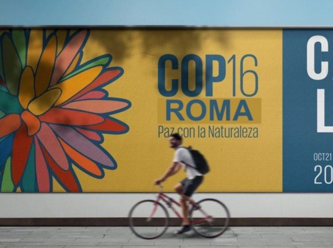 COP16 Biodiversità riprenderà a Roma a Febbraio 2025