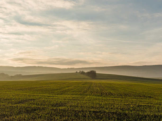 Back to the Future,  Rediscovering Traditional Knowledge to Win the Food Challenge