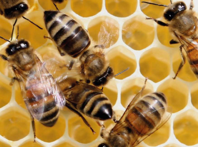 I 5 driver del cambiamento. Cosà¬ l'economia volta pagina