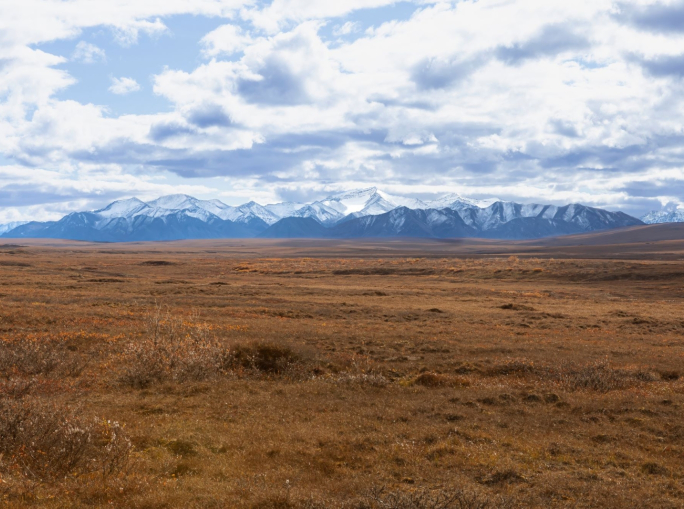 Panamericana and biodiversity, empathy can save the world