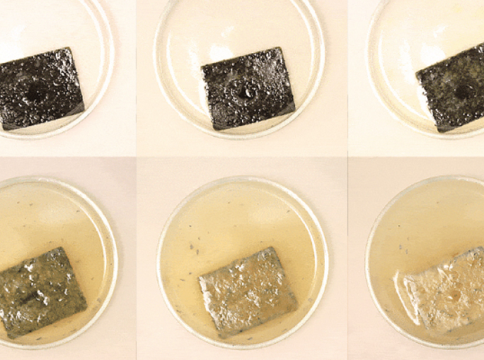 Intelligent Plastic Designed for Chemical Circularity