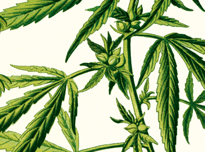 Ha 6000 anni  ma non li dimostra