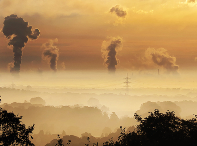 The Mixed State of the European Bio-Based Economy