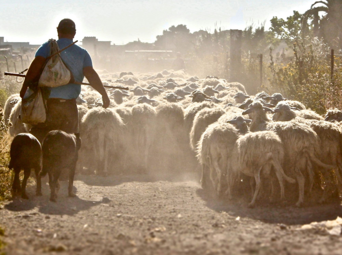 Drought in Sicily: what’s happening?