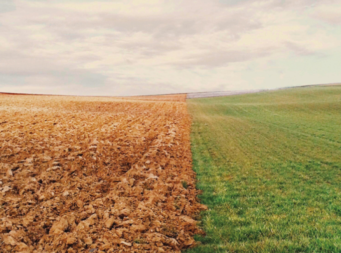 La rivoluzione post-carbon inizia dal basso