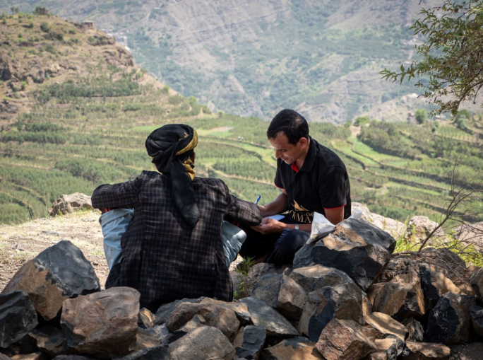 Coffee from the Mountains to Revive Yemen's Economy