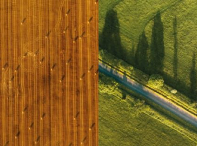 Fondazione ReSoil: sotto i piedi la nostra ricchezza