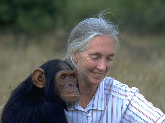 In memory of Jane Goodall
