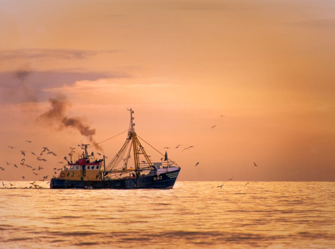 Challenges and opportunities for the future of European fisheries