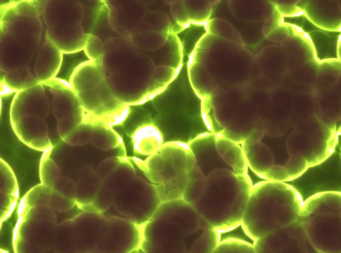 Carbon Smart Circular Economy