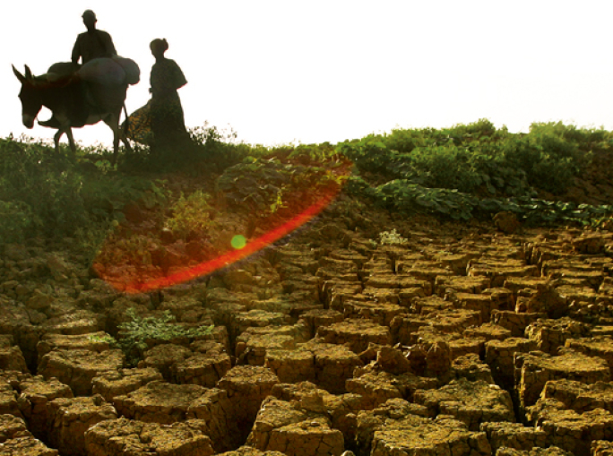 Bioeconomy and Food Security: The Relaunch of Agriculture Is at Stake