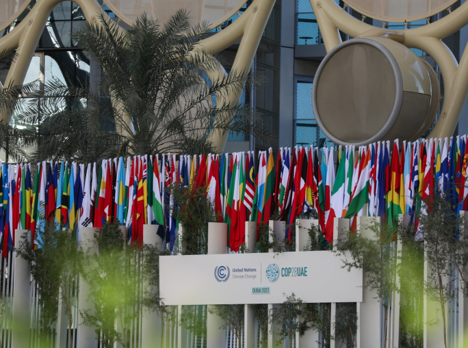 COP28, Declaration for sustainable agriculture and resilient food systems