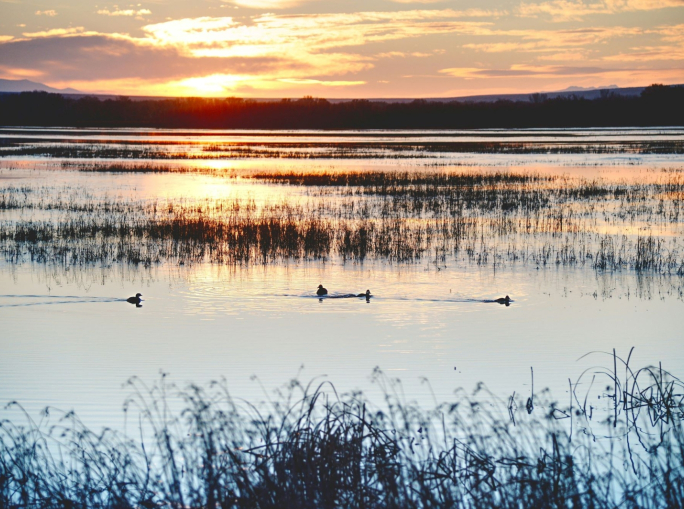 World Wetlands Day, the forgotten link to human well-being