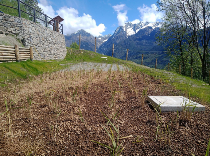 In the Mountains, Nature Can Take Care of Water Treatment