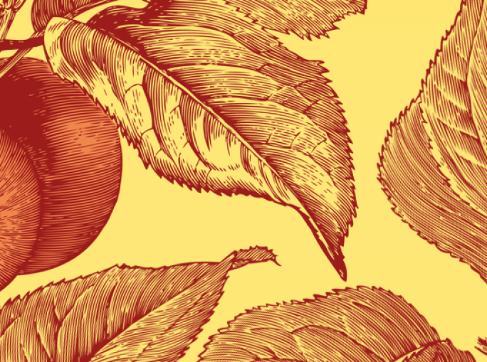 Packaging Management System: Assessing a Tree by its Fruits