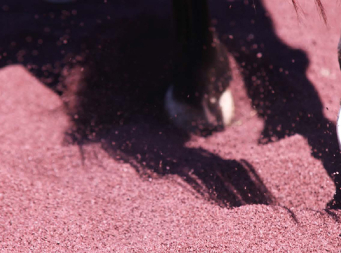 Horses Prefer Rubber