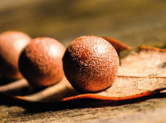 Fermare lo spreco di cibo