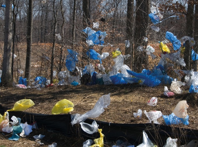 Un divieto ha lanciato la bioeconomia in Italia: il caso degli shopper