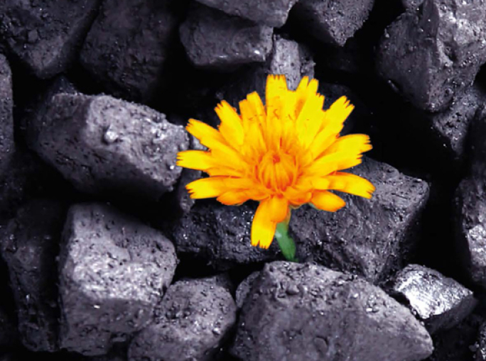 Com'è verde la mia miniera