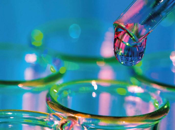 Employment, Research and Innovation for Sustainable Growth