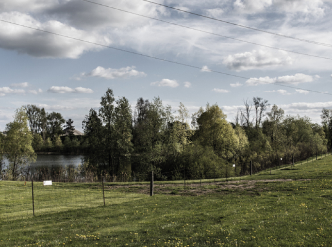 Battle to the Last Bottle: Canada vs Nestlé