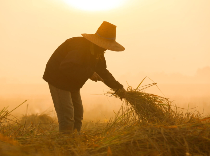 Gli effetti del cambiamento climatico sulla salute di chi lavora