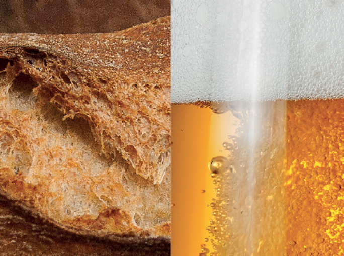 Brewing with Leftover Bread