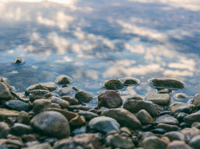Acqua e resilienza: al CESE si continua a lavorare per un Blue Deal europeo