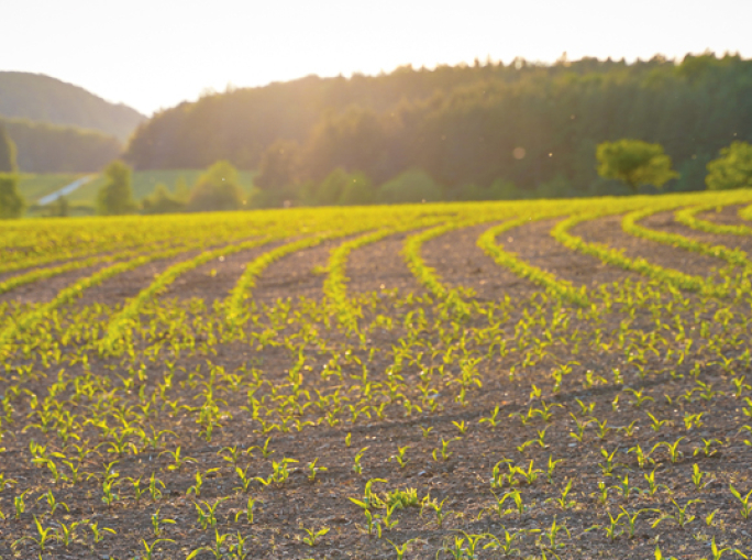 The Needs of Green Chemistry