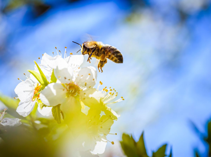 Le innovazioni destinate a cambiarci la vita nel 2025