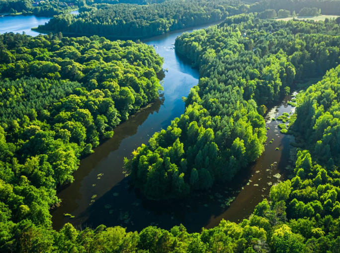 SDG6, UN: Half the world’s countries have degraded freshwater systems