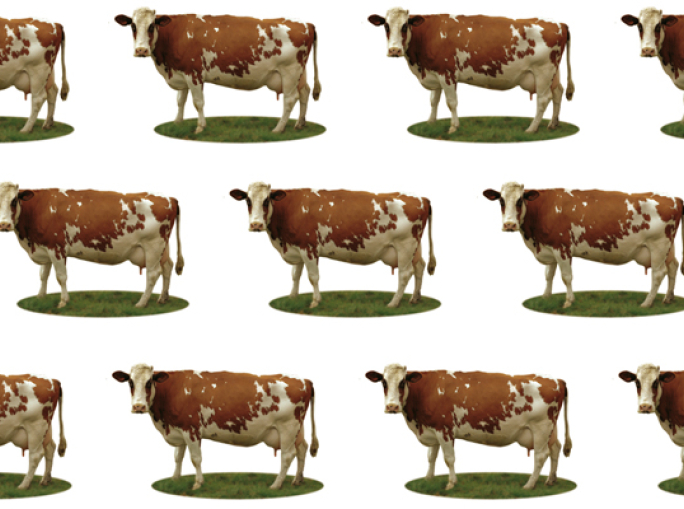 5.5 Billion Precious Tons of Forests and Agricultural Fields