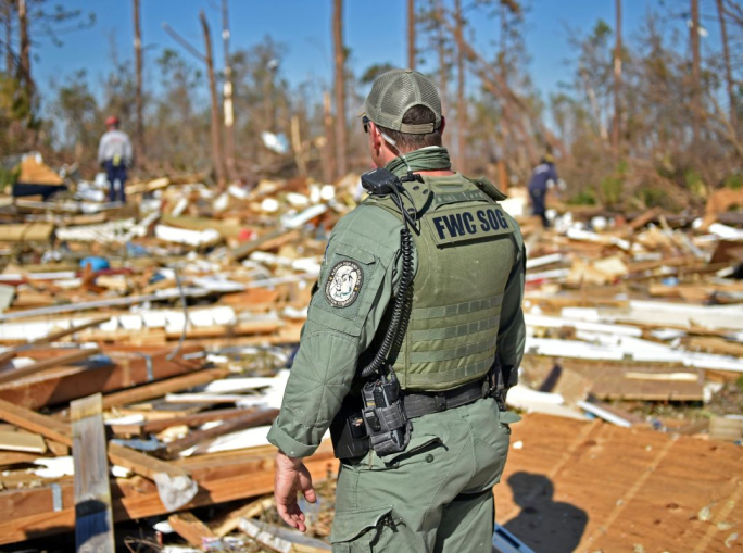 Investire in resilienza climatica: quali sono i vantaggi economici?