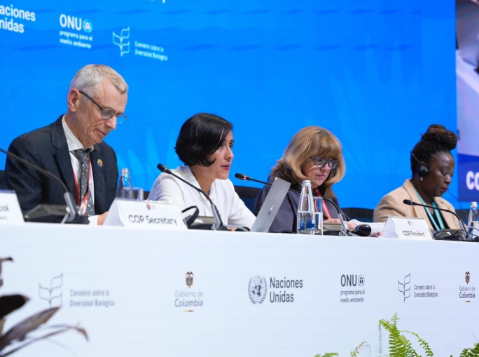 Half-time at COP16, where do negotiations stand?