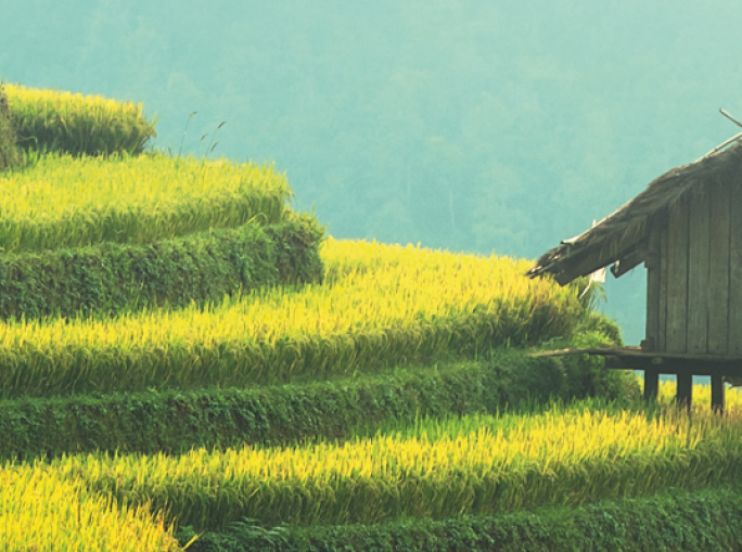 Thailandia: una bioeconomia molto biotech